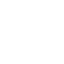 Twitter Icon